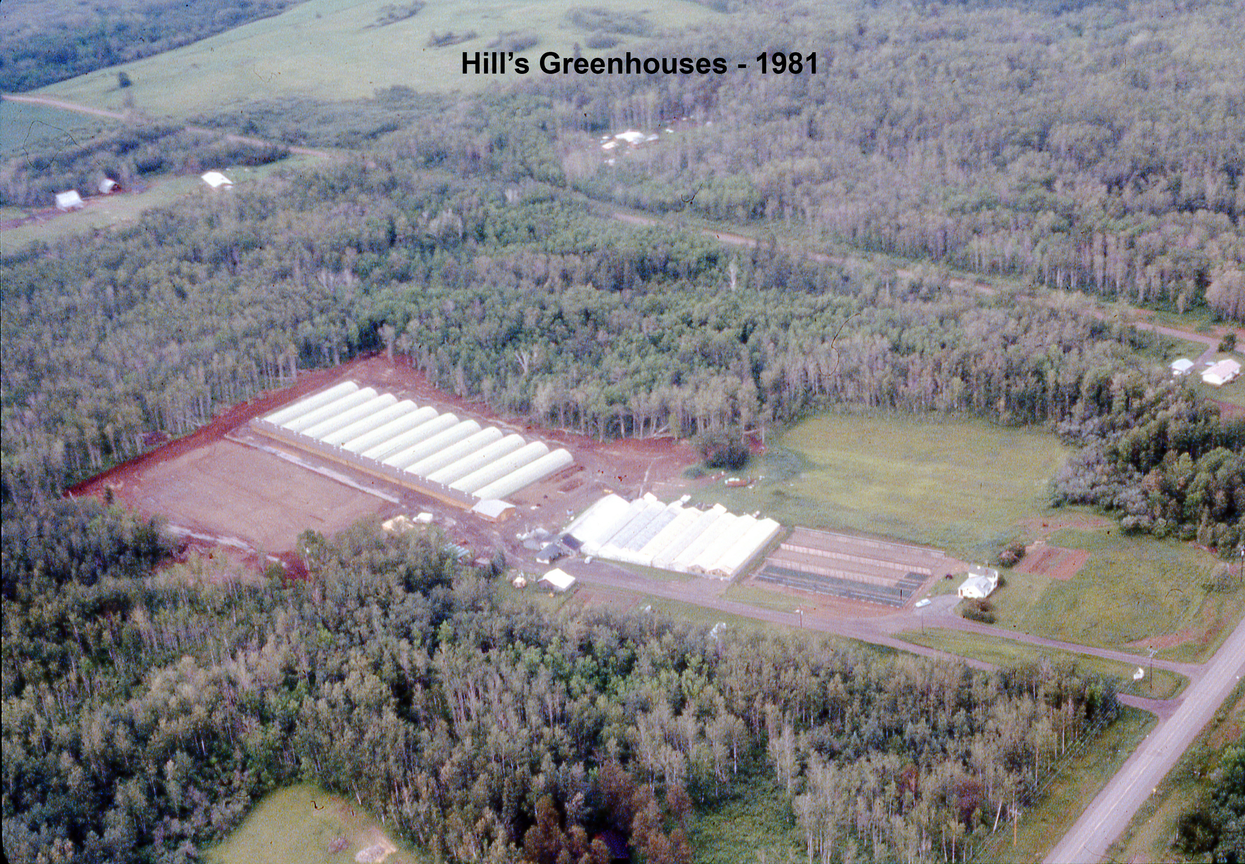 Hill's Greenhouses, 1981 2