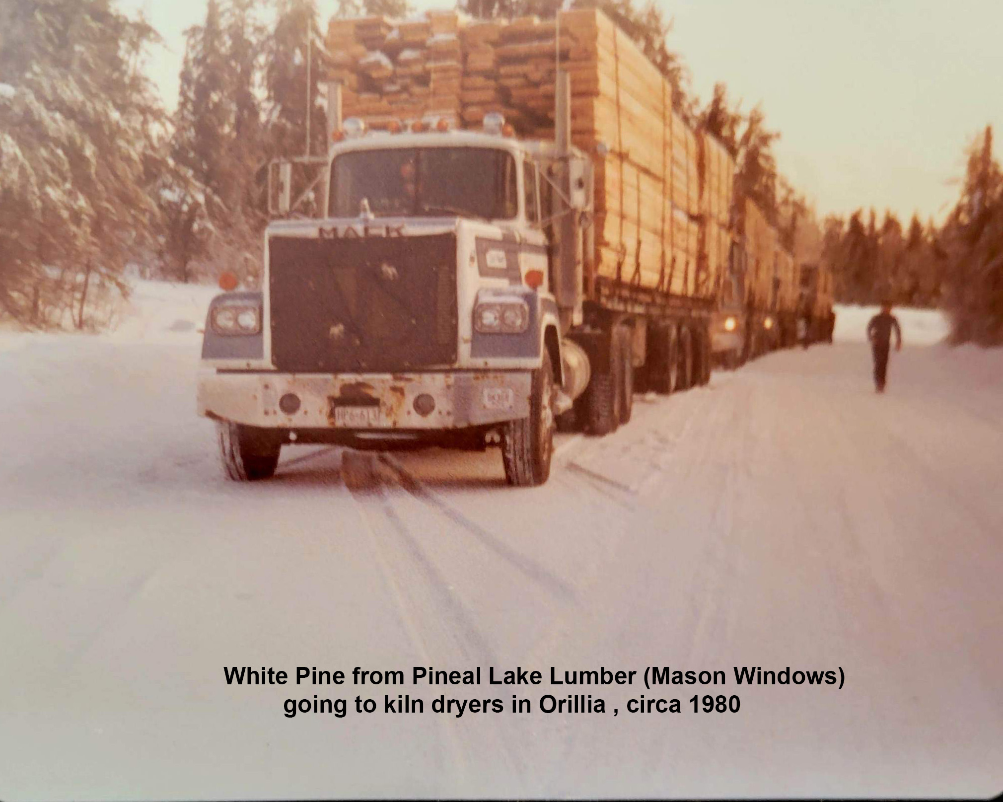 pineal lumber pine 1980