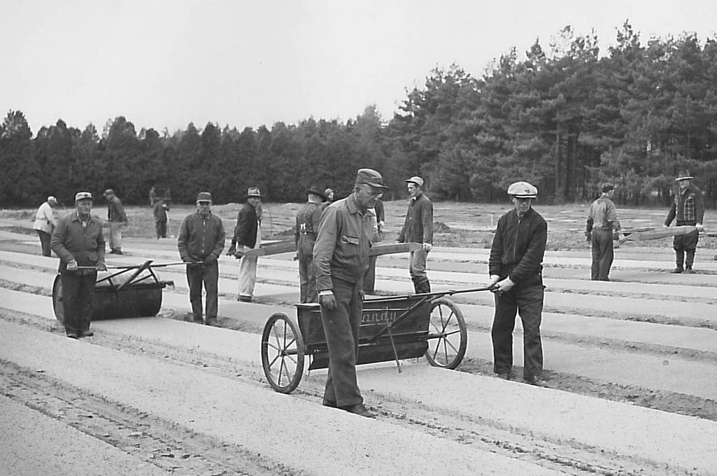 Tree Nursery 1961