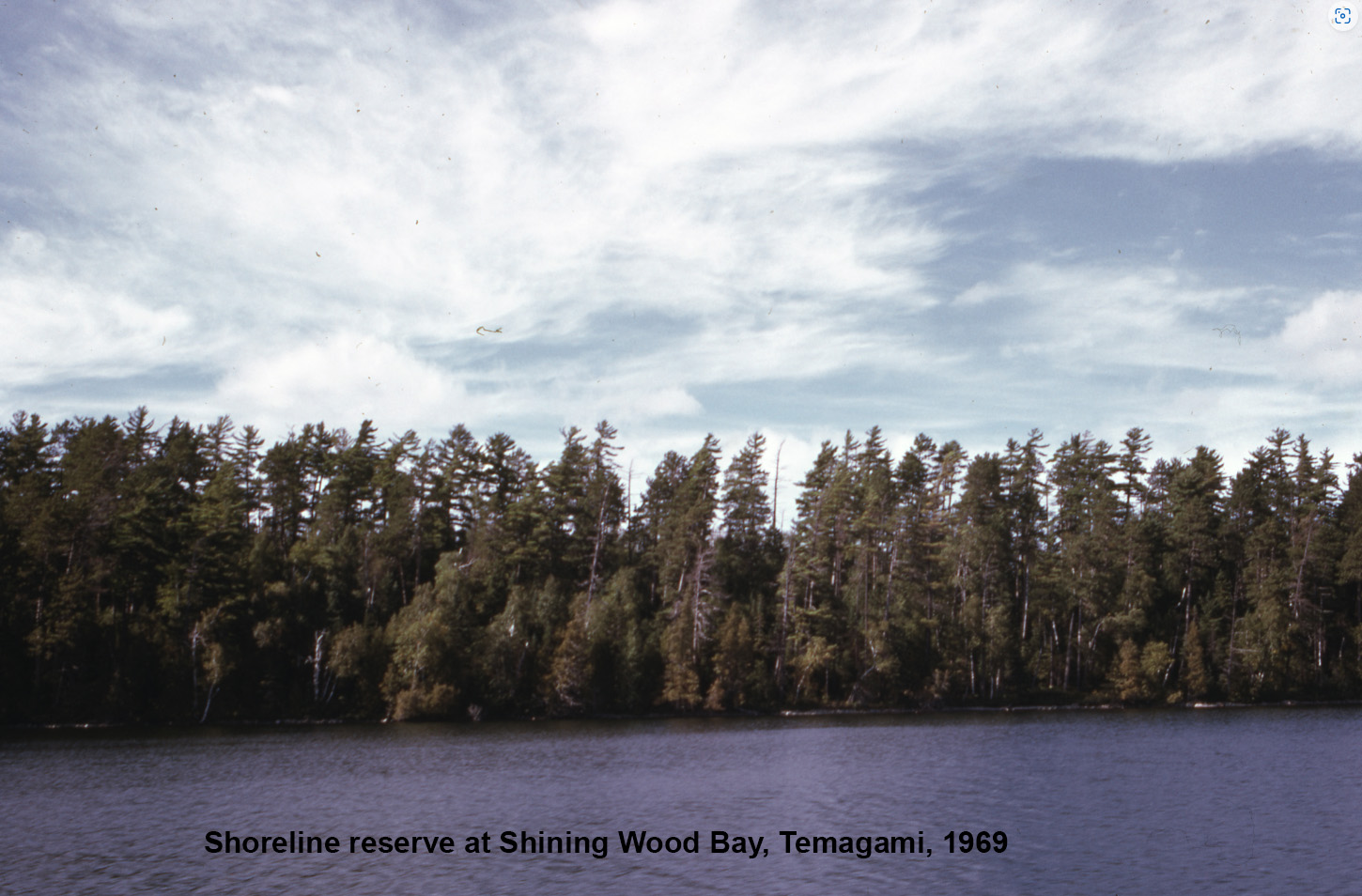 shining wood bay 2