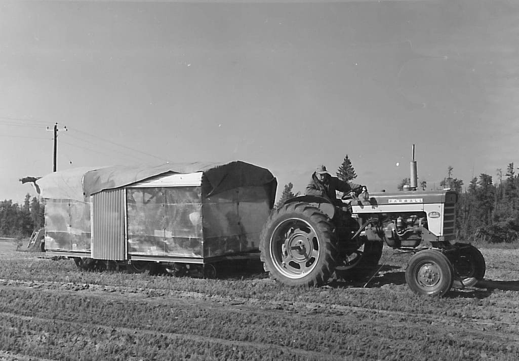 Tree Nursery 1961