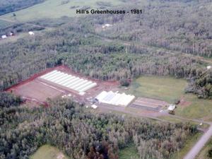 Hill's Greenhouses, 1981 2