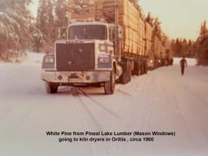 pineal lumber pine 1980