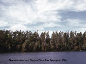 shining wood bay 2