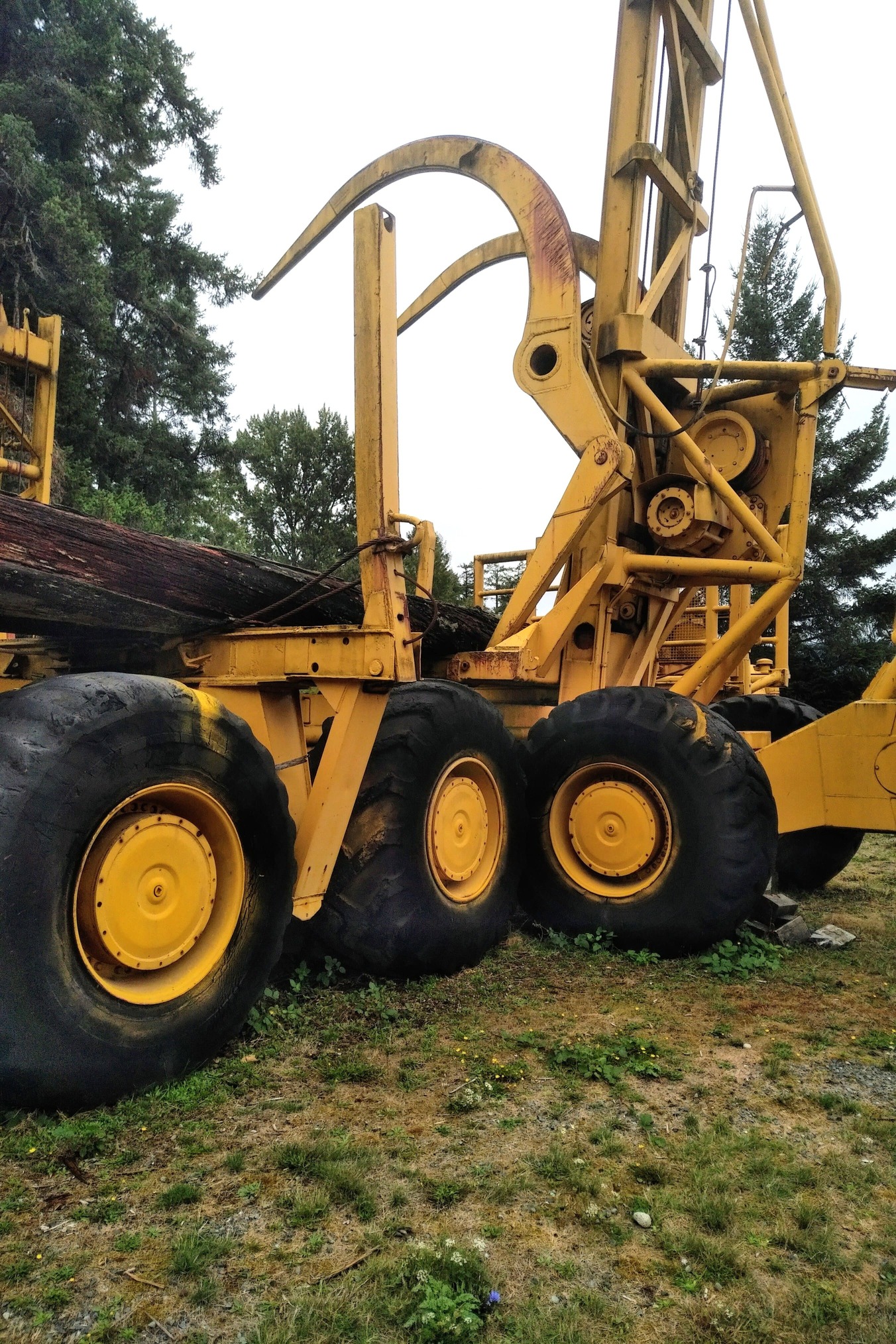 1h Letourneau Stacker 25BC Forest Discovery Centre Sept 2023