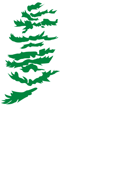 Forest History Ontario