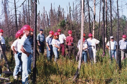 Teachers gather in a developing new stand that  followed a wildfire